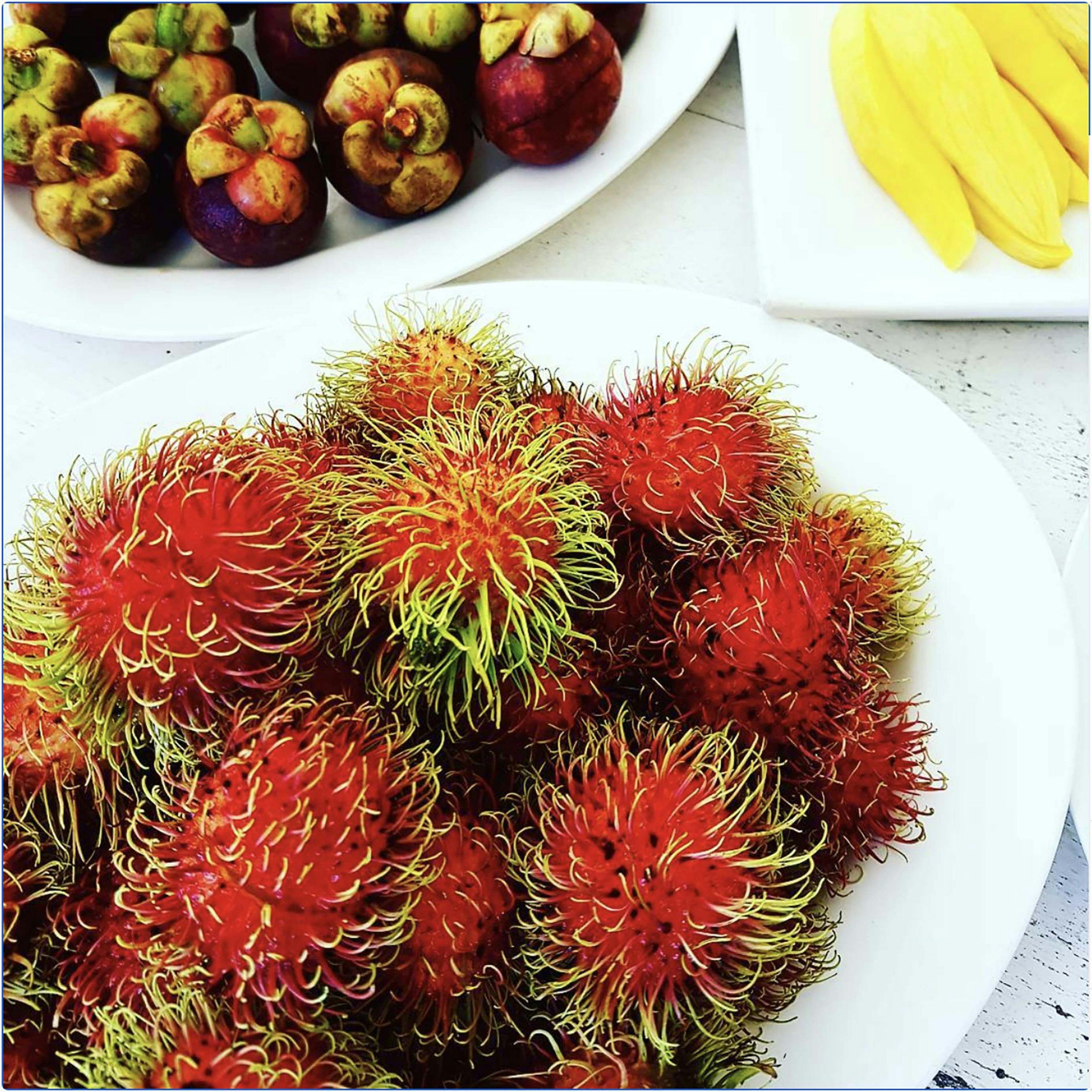 lene mango mangosten